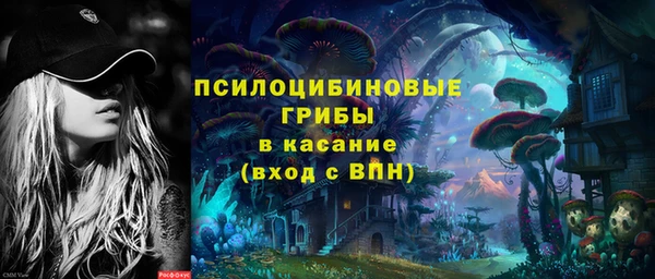 метадон Белокуриха