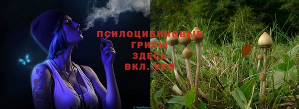 ALPHA PVP Белоозёрский